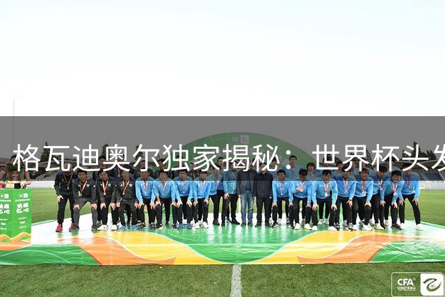 格瓦迪奥尔独家揭秘：世界杯"头发丝越位"背后的真实故事与曼城新征程